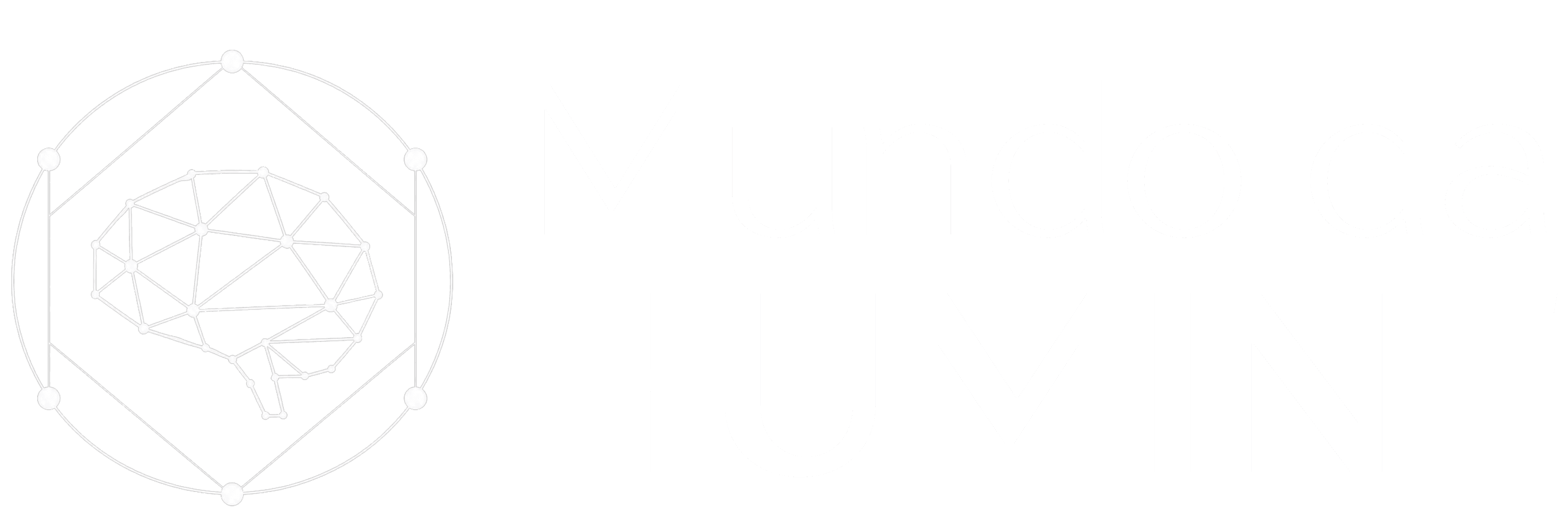 Mundo da HUMINT