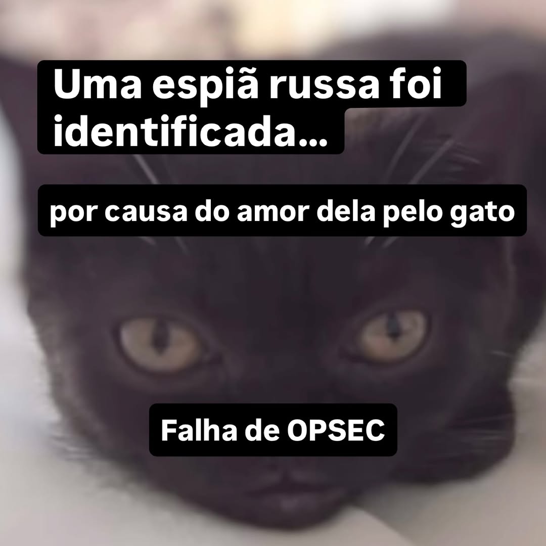 A parte mais fascinante desse caso é o princípio de contrainteligência que ele revela.