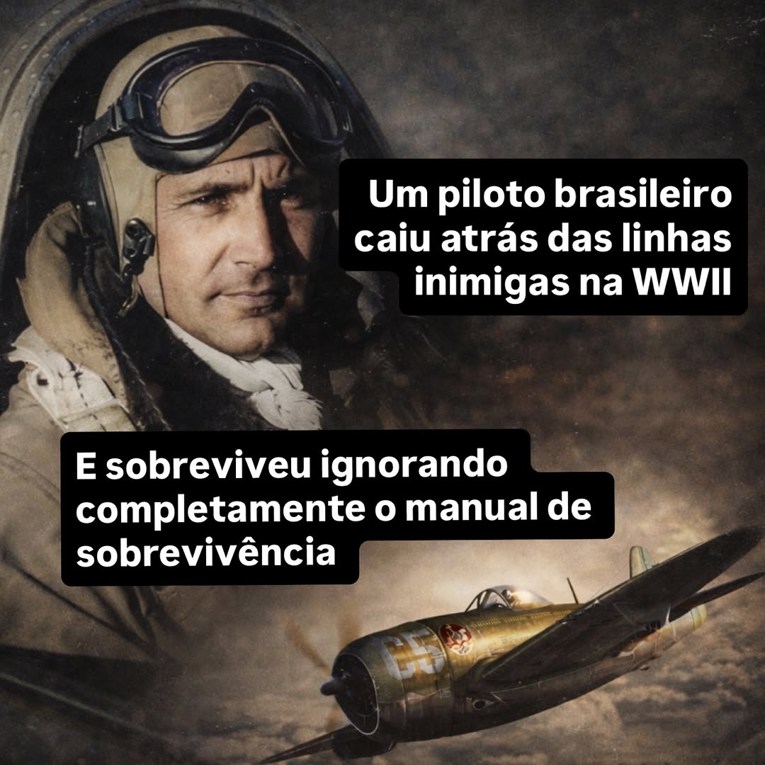 Em território hostil, muitas vezes é impossível sobreviver sozinho.